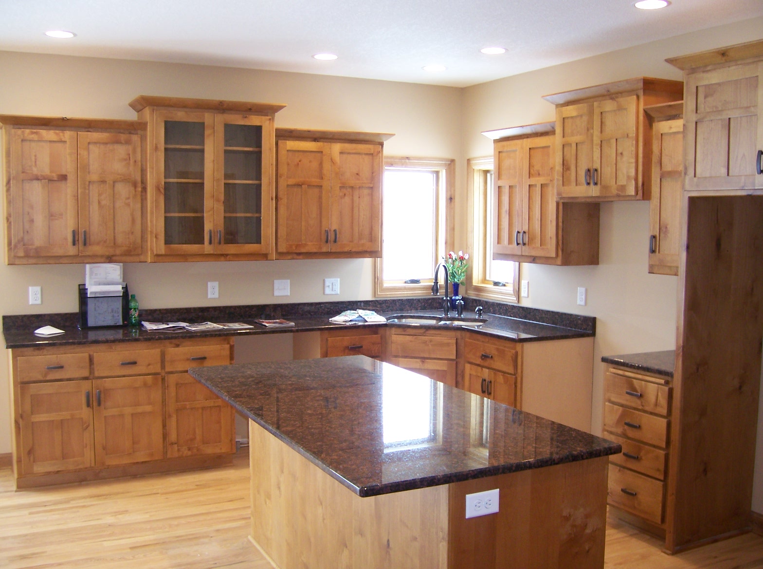 color schemes for kitchens with darkish cabinets